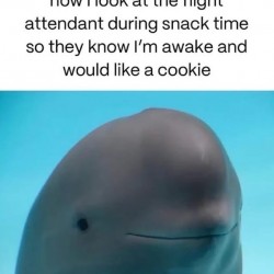 Snack Time