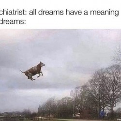 My Dreams