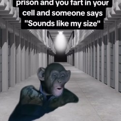When You Fart