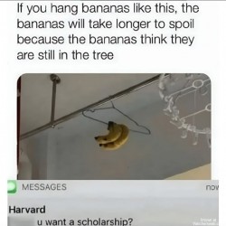 Genius