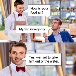 The Fish Is Dry