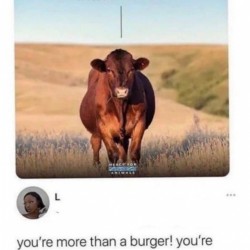 You Are More