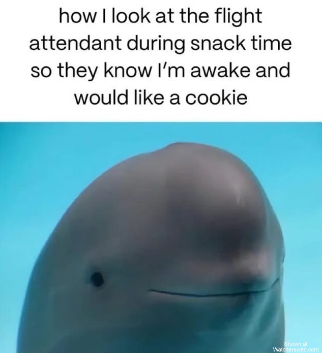 Snack Time #0