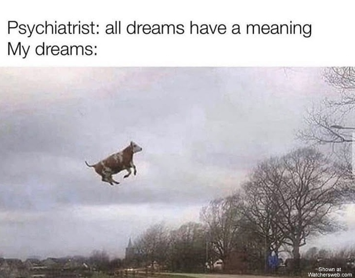 My Dreams #0