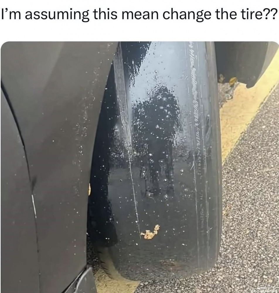 You Think? #0