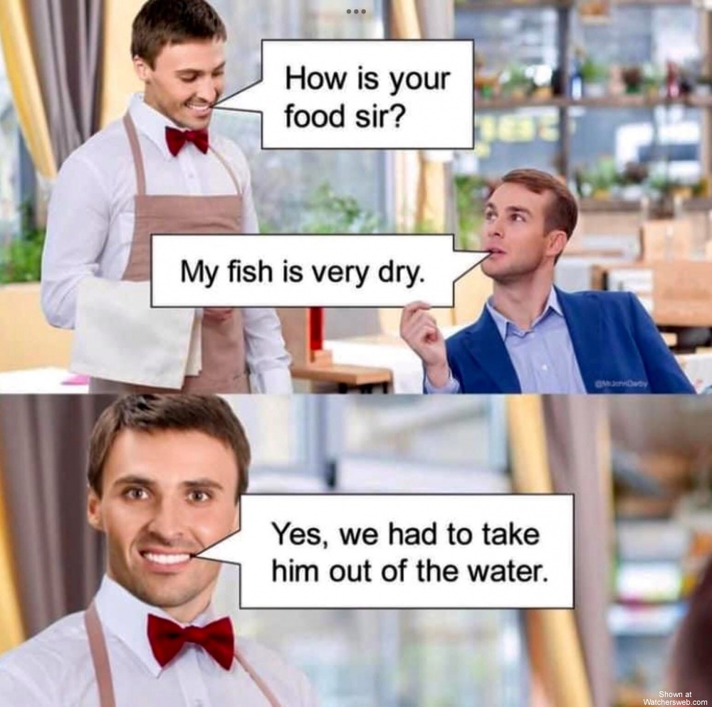 The Fish Is Dry #0